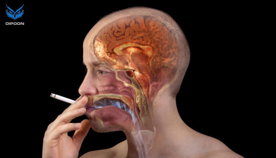 تاثیر نیکوتین بر مغز و اعصاب چیست؟