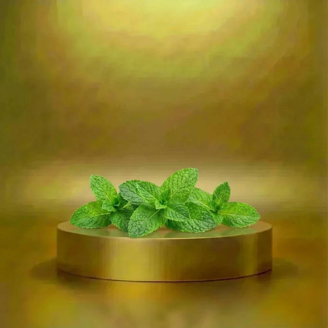 نعنا (1) اسانس حرارتی نعنا - Image 1